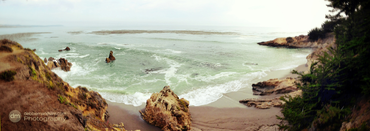 Debbie Markham Photography Tip of Peninsula view San Simeon Cove